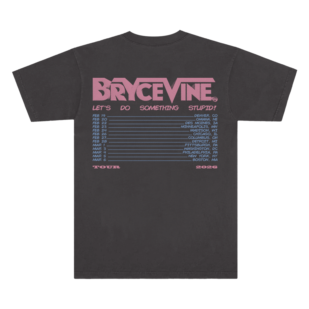 Lets Do Something Stupid Tour Tee