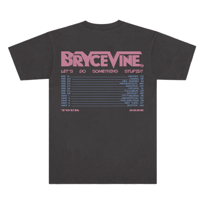 Lets Do Something Stupid Tour Tee