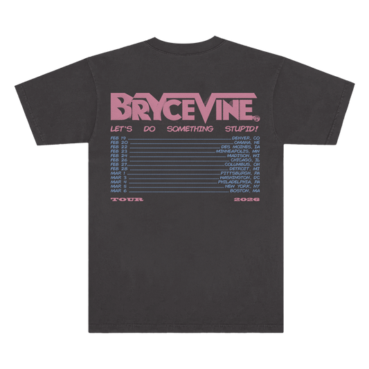 Lets Do Something Stupid Tour Tee